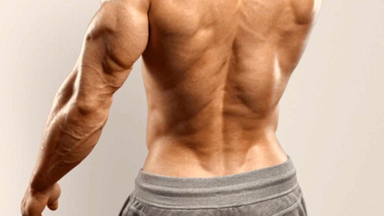 These Are the 8 Best Lower Back Exercises for Bodybuilding | BarBend