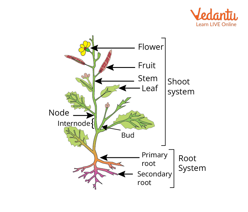 How to Prepare for a Professional Photoshoot