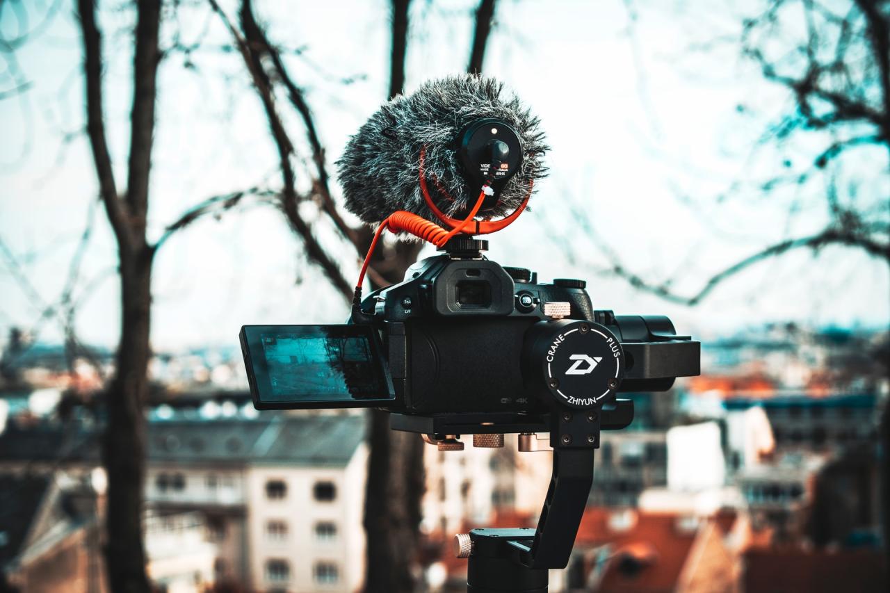 How to Correctly Use a Gimbal? | Phixer Blog How to Correctly Use a Gimbal? | Phixer Blog