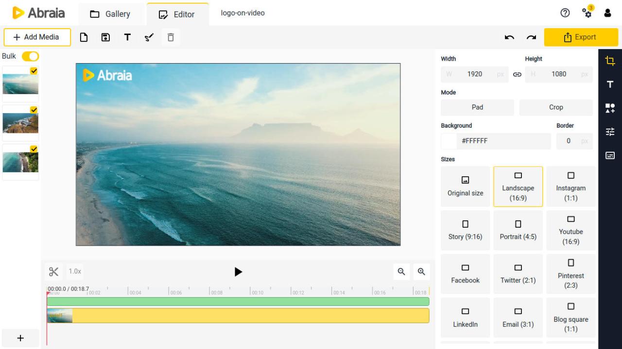 Video Logos: the Best Video Logo Images | 99designs