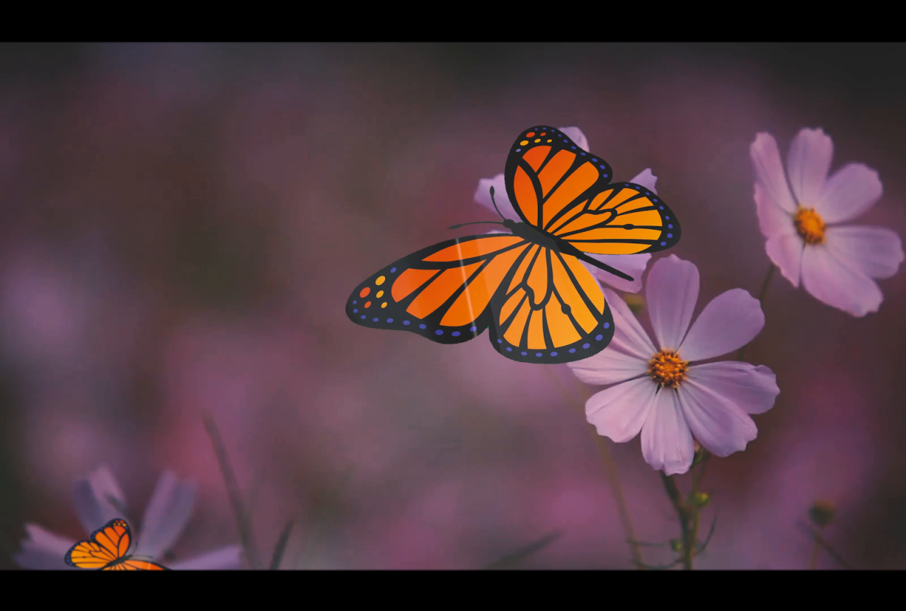 Chroma key by Muhammad Faizan on Dribbble